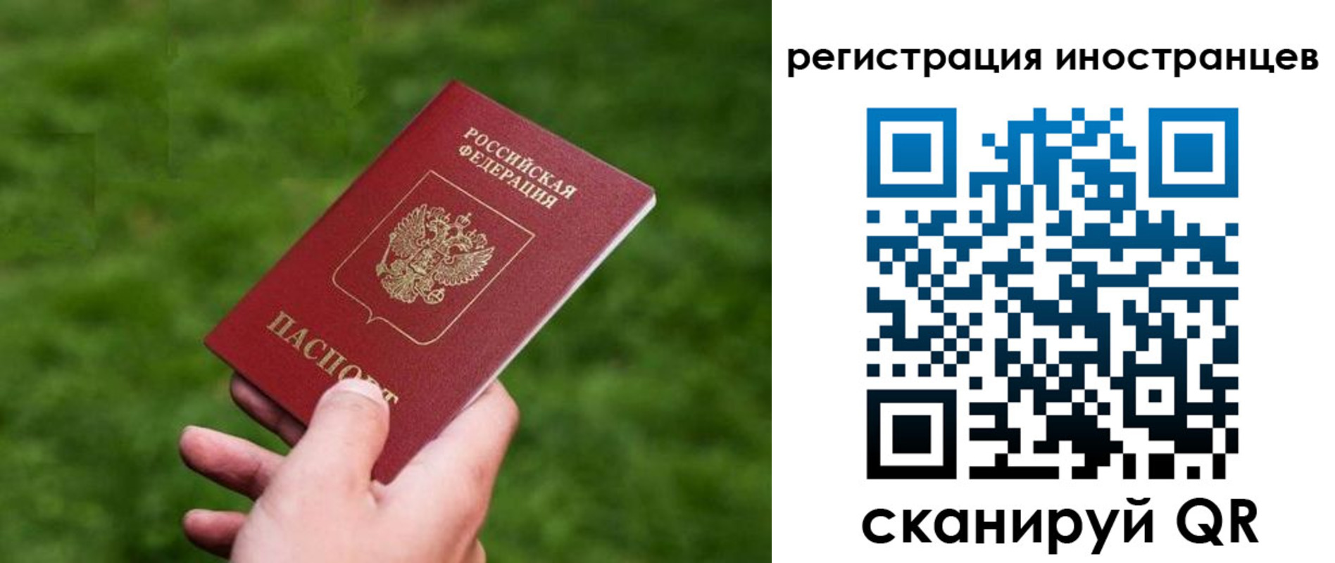 прописка ребенка в Зверево